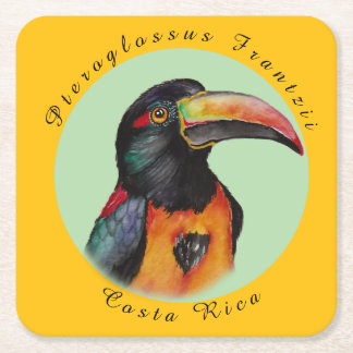 Dessous De Verre Carré Aquarelle toucan