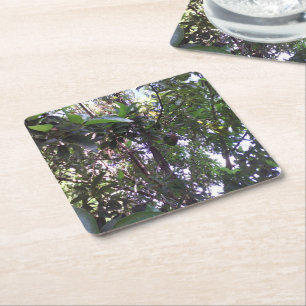 Dessous De Verre Carré Arbre d'avocat