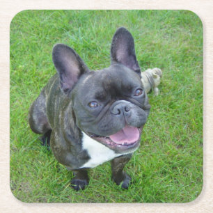 Dessous De Verre Carré assis 2 bouledogue français