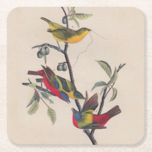 Dessous De Verre Carré Audubon Peint Bunting Bird Wildlife