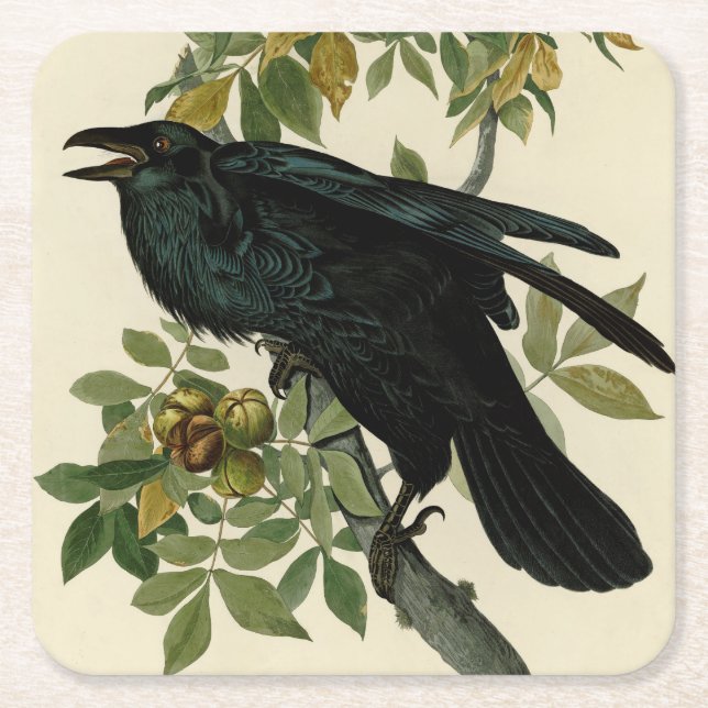 Dessous De Verre Carré Audubon Raven Oiseau classique (Devant)