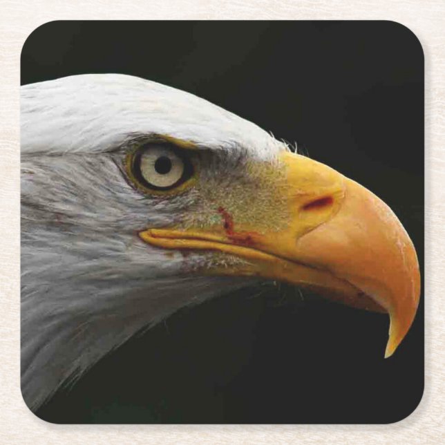 Dessous De Verre Carré Bald Eagle (Devant)
