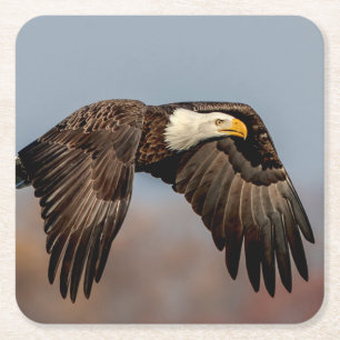 Dessous De Verre Carré Bald Eagle en vol