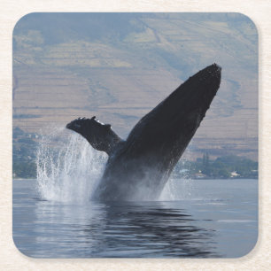 Dessous De Verre Carré baleine à bosse