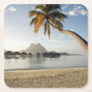 Dessous De Verre Carré Beaches tropicales   Beach Huts, Bora Bora