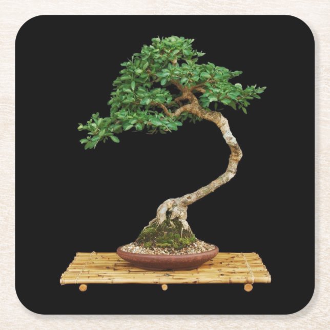 Dessous De Verre Carré Beau Dessous de verre Bonsai Tree (Devant)