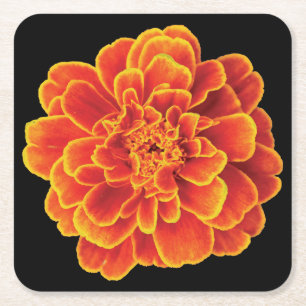 Dessous De Verre Carré Beau Dessous de verre Marigold