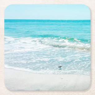 Dessous De Verre Carré Bécasseau de sable de Floride