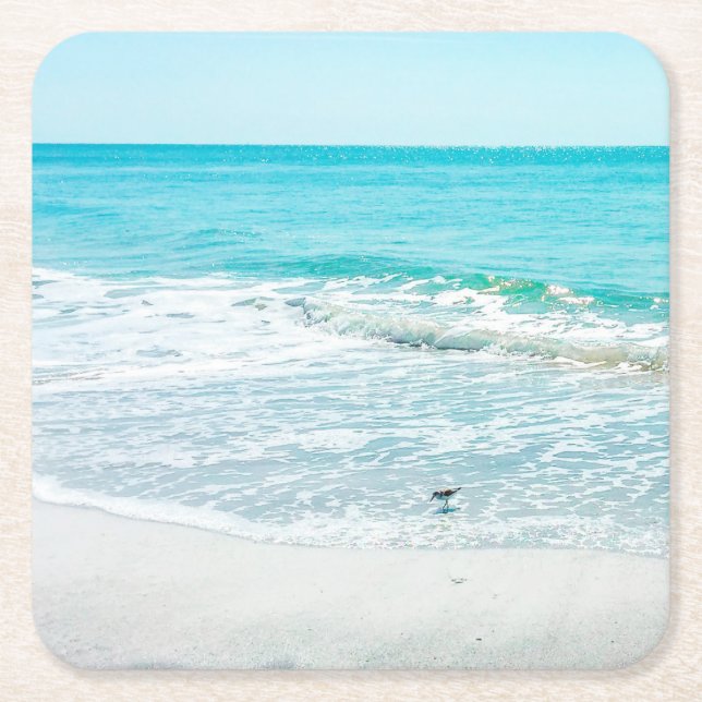 Dessous De Verre Carré Bécasseau de sable de Floride (Devant)