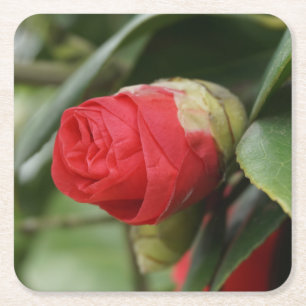 Dessous De Verre Carré Belle Carthame Rouge