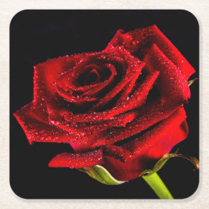 Dessous De Verre Carré Belle rose rouge