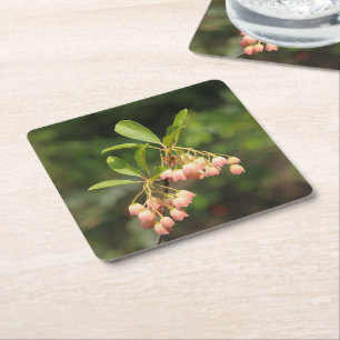 Dessous De Verre Carré Belles fleurs d'Enkianthus
