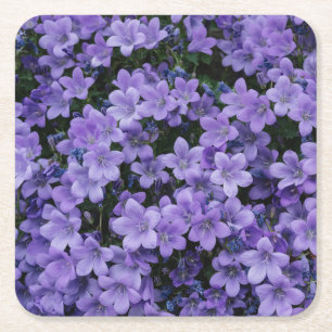Dessous De Verre Carré Belles fleurs violettes