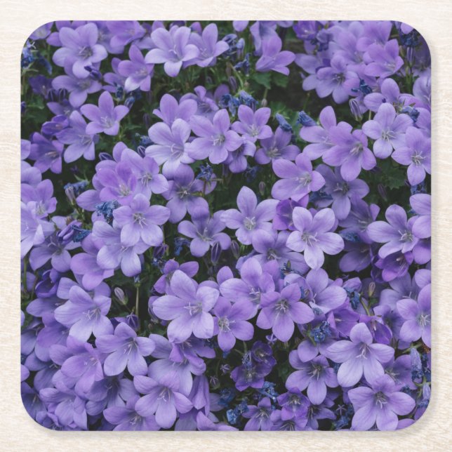 Dessous De Verre Carré Belles fleurs violettes (Devant)