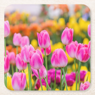 Dessous De Verre Carré Belles tulipes roses