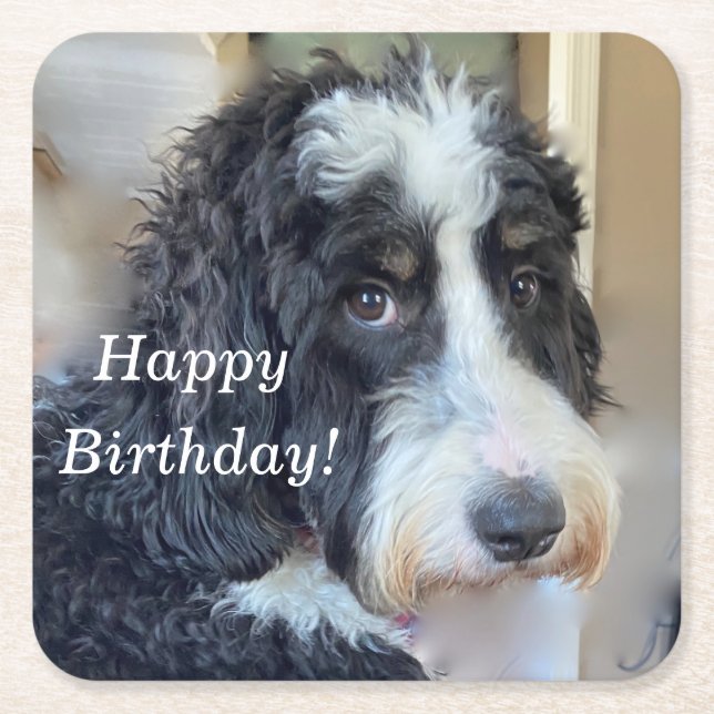 Dessous De Verre Carré Bernedoodle mignon (Devant)