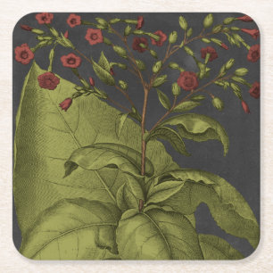 Dessous De Verre Carré Besler Dramatique I