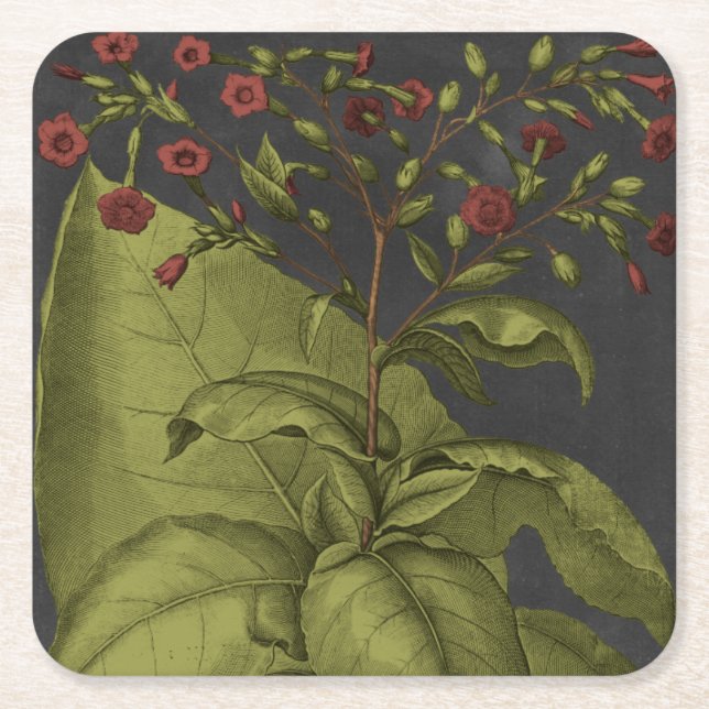 Dessous De Verre Carré Besler Dramatique I (Devant)