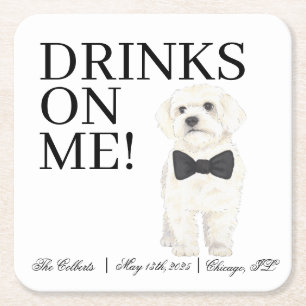 Dessous De Verre Carré Bichon, Bologne, Havanais, Mariage maltais