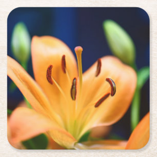 Dessous De Verre Carré Blossom orange Lilly
