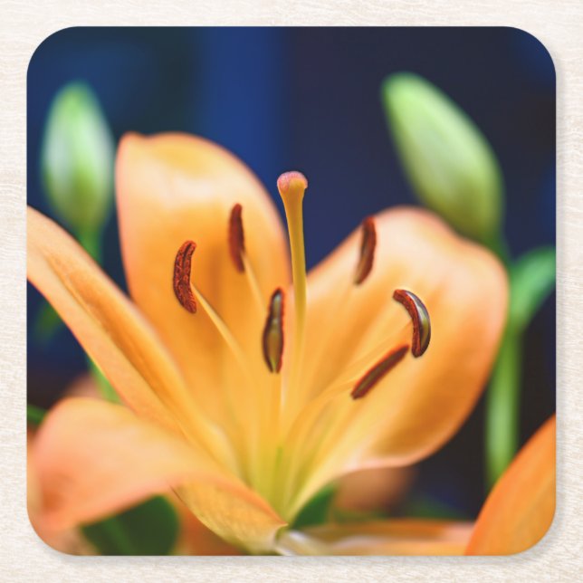 Dessous De Verre Carré Blossom orange Lilly (Devant)