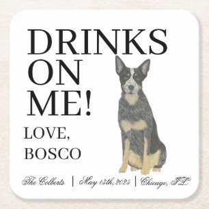 Dessous De Verre Carré Blue Australian Cattledog Heeler Chien Mariage
