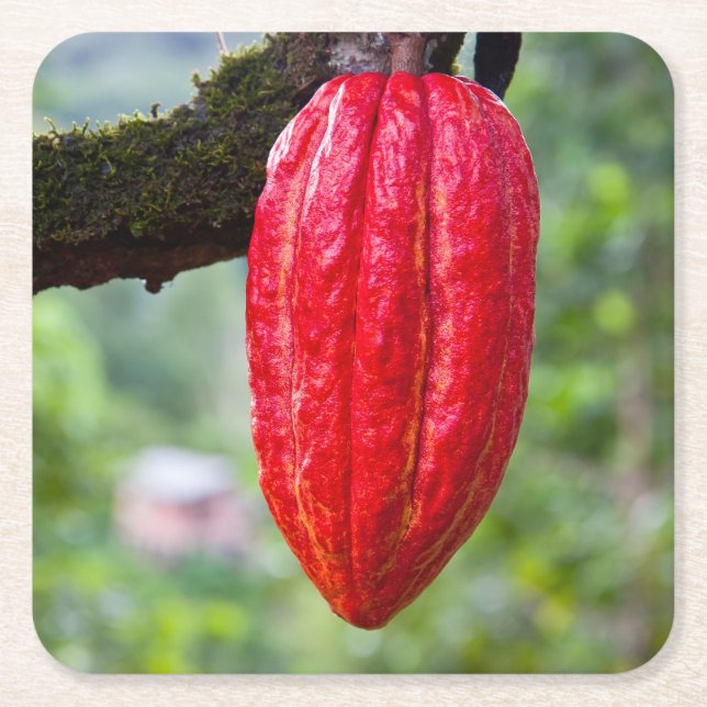 Dessous De Verre Carré boîte de cacao rouge (Devant)