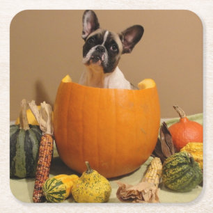 Dessous De Verre Carré Bouledogue français Halloween French Bulldog