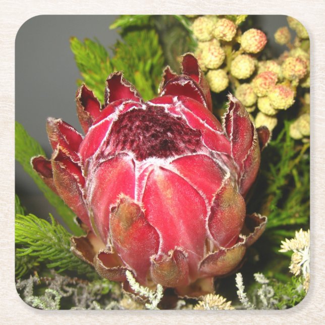 Dessous De Verre Carré Bouquet de Protea (Devant)