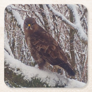 Dessous De Verre Carré Buse commune dans la neige Saison froide Raptor Na