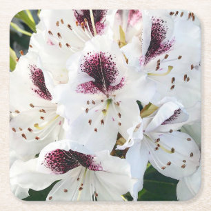 Dessous De Verre Carré Calsap Rhododendrons