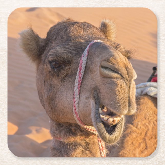Dessous De Verre Carré Camel amusant (Devant)