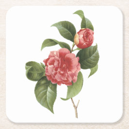 Dessous De Verre Carré camélia commune (Camellia japonica) par Redouté