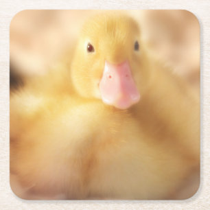 Dessous De Verre Carré Canard Jaune Fuzzy Bébé de Pâques Canard