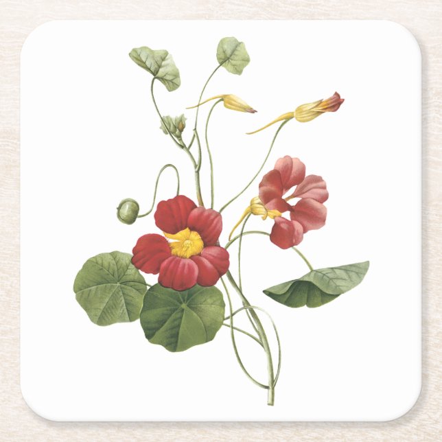 Dessous De Verre Carré capucine (Tropaeolum majus) de Redouté (Devant)