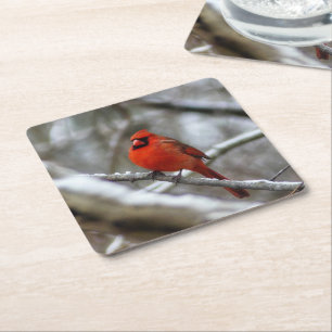 Dessous De Verre Carré Cardinal masculin