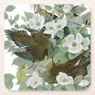 Dessous De Verre Carré Carolina Pigeon Audubon Morning Dove