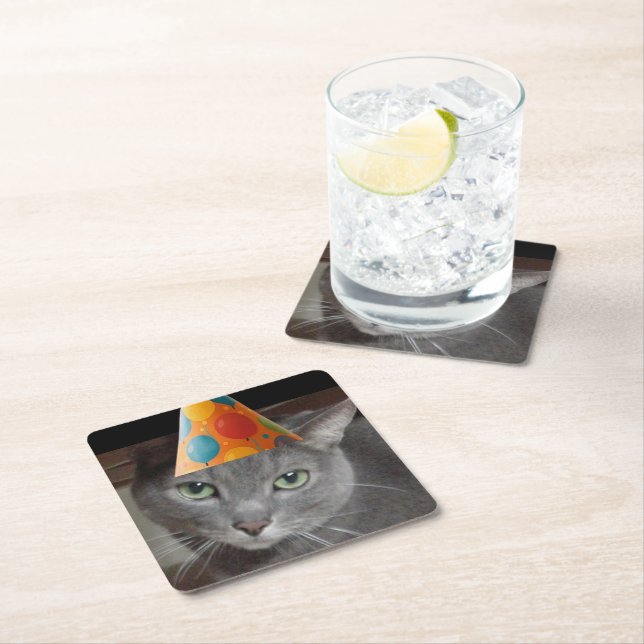 Dessous De Verre Carré Casquette du parti Gray Cat (En situation)