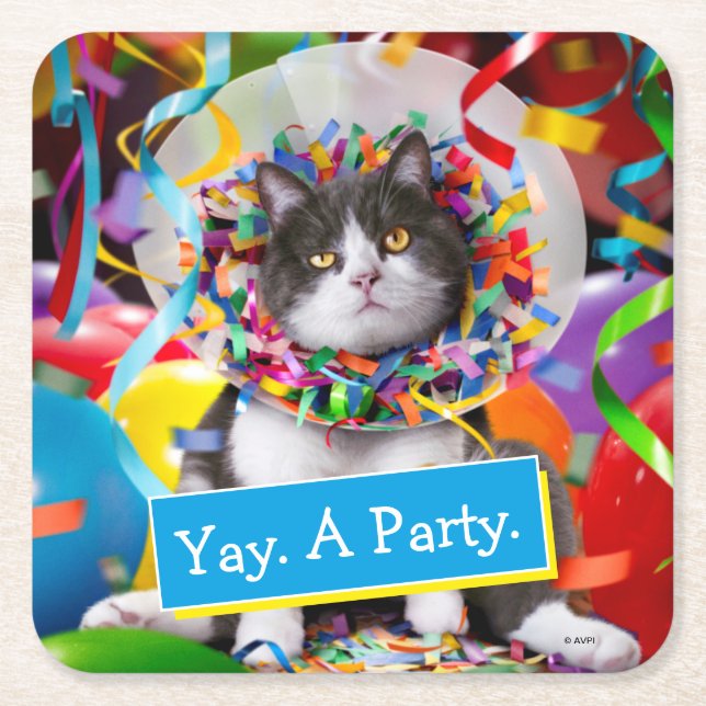 Dessous De Verre Carré Cat In Party Cone (Devant)