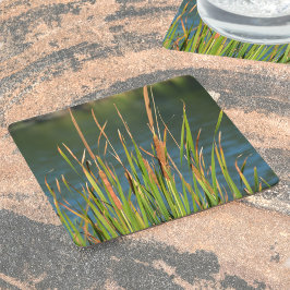 Dessous De Verre Carré Cattails sur le lac photographique du bord de l'ea