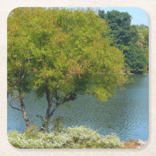 Dessous De Verre Carré Centennial Lake in Ellicott City Maryland