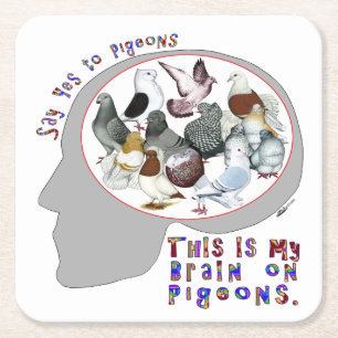Dessous De Verre Carré Cerveau Sur Les Pigeons