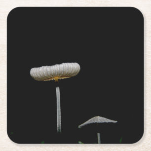 Dessous De Verre Carré Champignons
