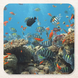 Dessous De Verre Carré Chaos tropical de poissons