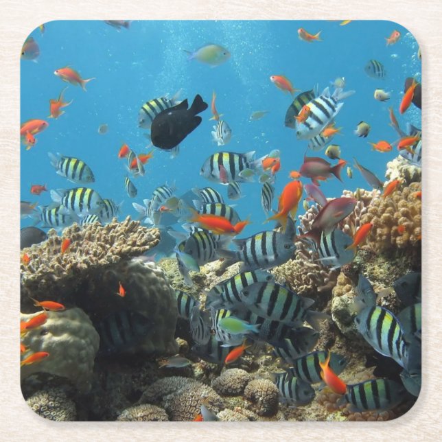 Dessous De Verre Carré Chaos tropical de poissons (Devant)