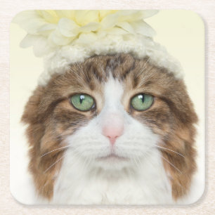 Dessous De Verre Carré Chat avec le casquette de fleur