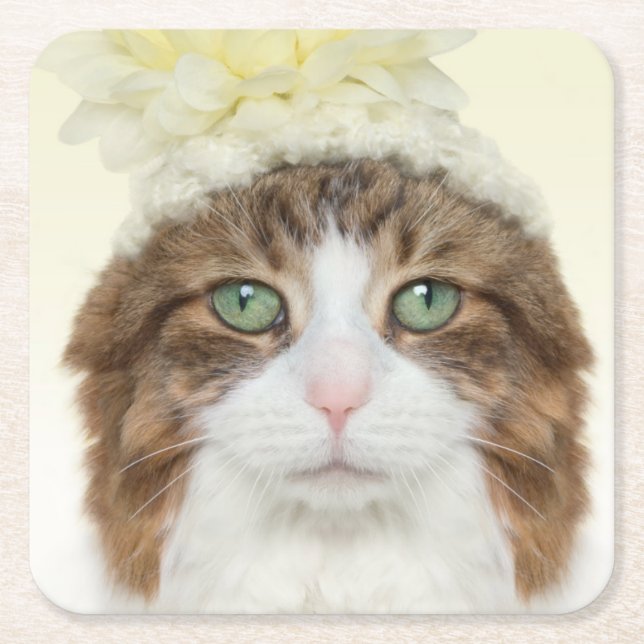Dessous De Verre Carré Chat avec le casquette de fleur (Devant)