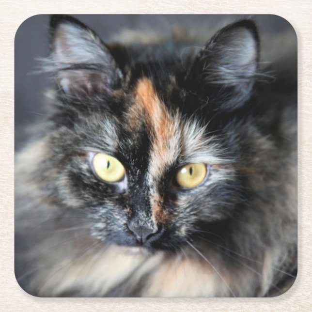 Dessous De Verre Carré Chat sibérien (Devant)