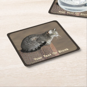 Dessous De Verre Carré Chat Tabby Gris Fumé