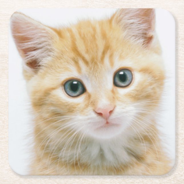 Dessous De Verre Carré Chat tigré d'orange douce (Devant)